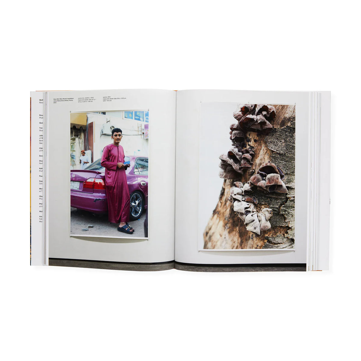 Wolfgang Tillmans: To look without fear - Hardcover – Dale Zine Shop