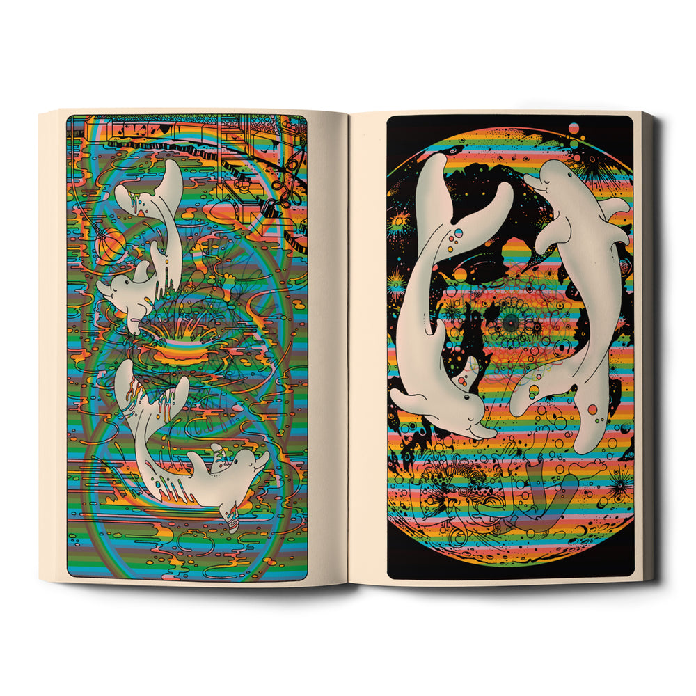 Brian Blomerth's Lilly Wave – Dale Zine Shop
