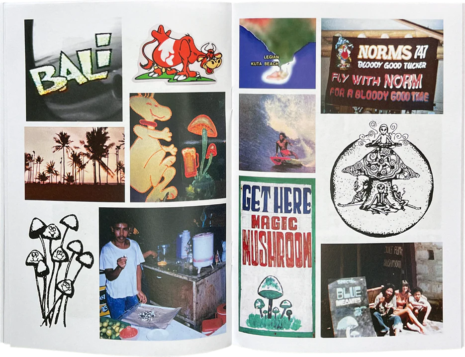 Blue Meanies zine – Dale Zine Shop