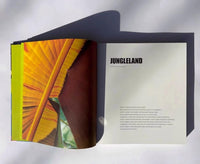 MIAMI - CONTEMPORARY VISIONS FROM A TROPICAL JUNGLELAND
