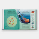 Nature's Tiny Champions: The Big Book of Little Creatures