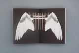 At Last, The Robot Flies - Manu Fowler