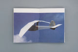 At Last, The Robot Flies - Manu Fowler