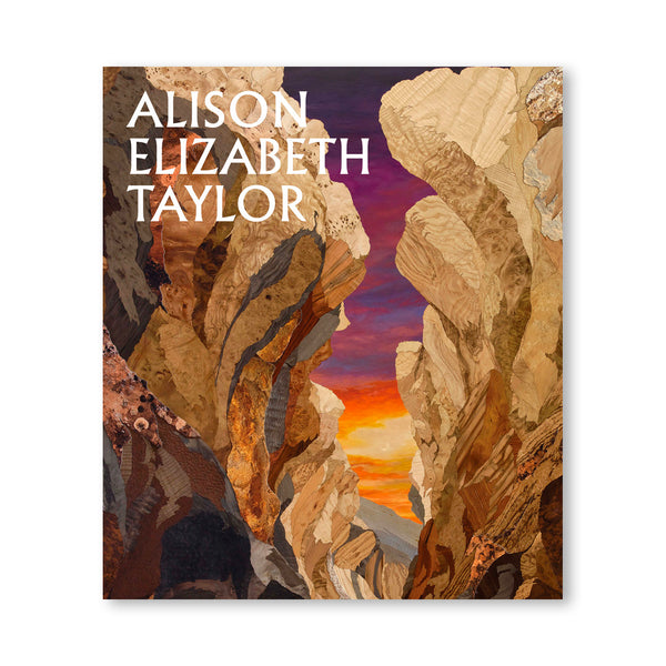 Alison Elizabeth Taylor: The Sum of It