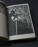 The Sweet Smell of Burnt Gasoline Brings Me Home