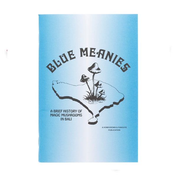 Blue Meanies zine