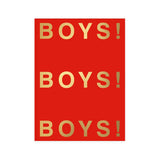 BOYS! BOYS! BOYS! Vol. 11 Collectors Edition