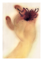 Cake Zine  Volume 7: Forbidden Fruit