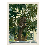 Home Palm