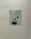 The Sweet Smell of Burnt Gasoline Brings Me Home