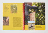 Synonym Issue 3: Spices