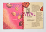 Synonym Issue 3: Spices
