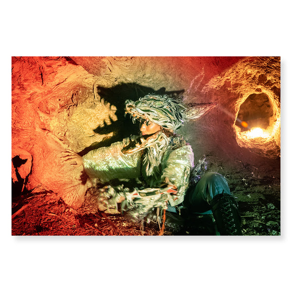 Lee Pivnik - Coyote (in the baobab)