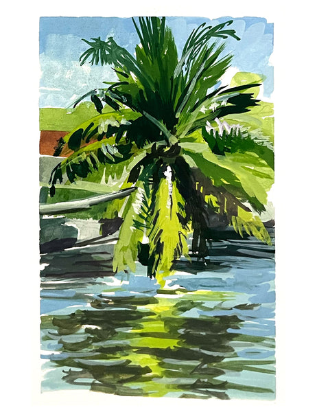 Massimo Mongiardo - Little River Canal Palm