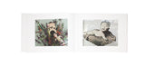 Leben und Tod (Life and Death) Nobuyoshi ARAKI, Juergen TELLER