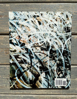 Jose Parla - Cityscapes – Dale Zine Shop