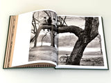 Prospect Park