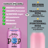 WILD BERRIES & lime - 12 Pack