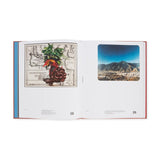 Contemporary Latin American Art from the Cisneros Gift