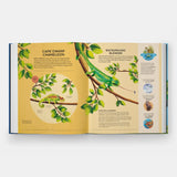 Nature's Tiny Champions: The Big Book of Little Creatures
