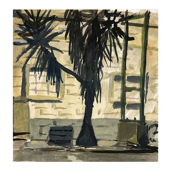 Massimo Mongiardo - Mexico City Palm at Night