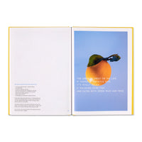 Squeeze Me: Lemon Recipes & Art Author Ruthie Rogers and Ed Ruscha