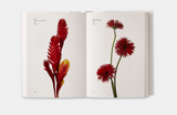 Flower Color Guide: Darroch and Michael Putnam