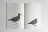 Ted Parker - Birds
